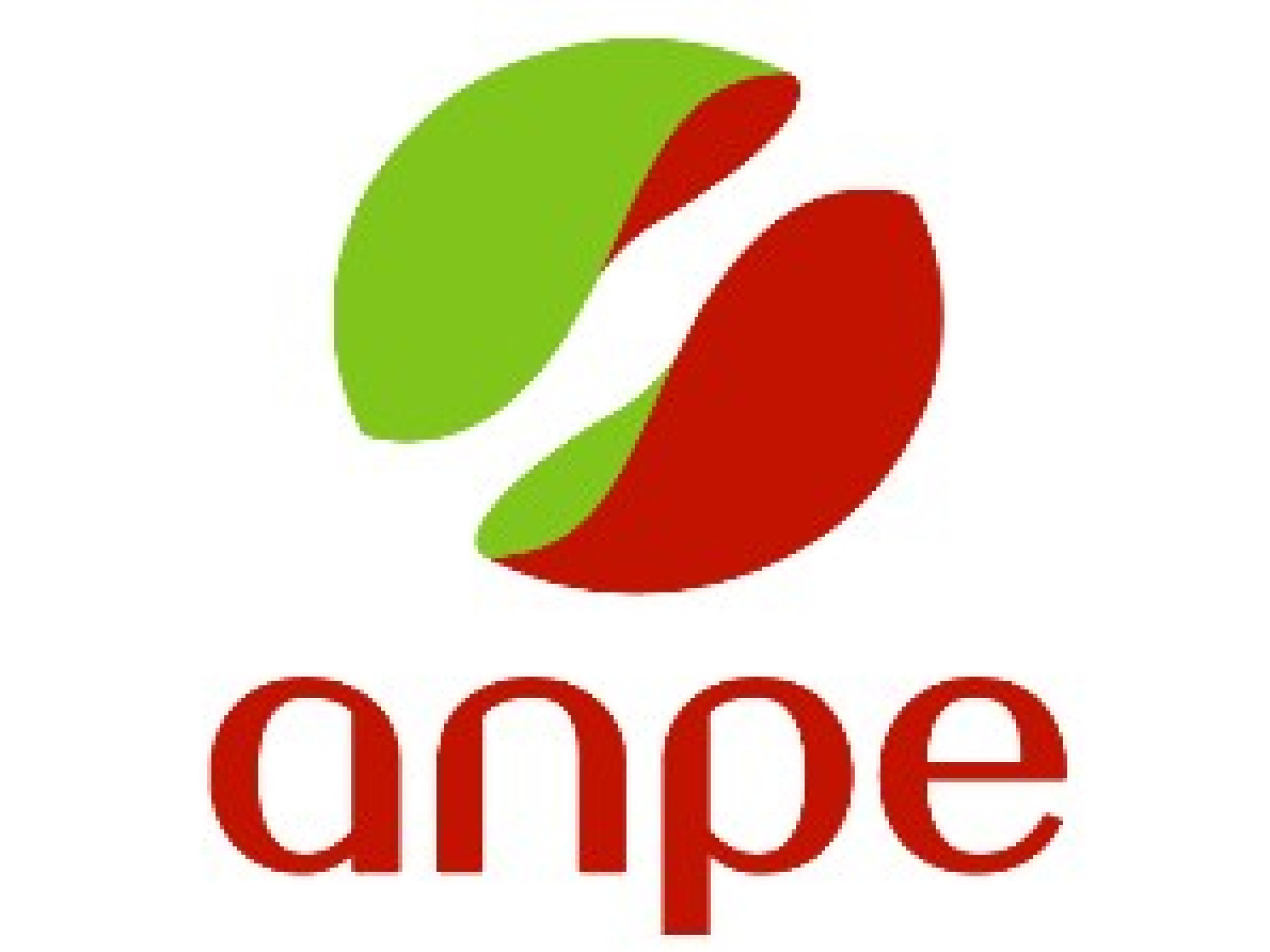 La mission locale d’insertion des jeunes rend son bilan 2007 La mission locale d’insertion des jeunes rend son bilan 2007