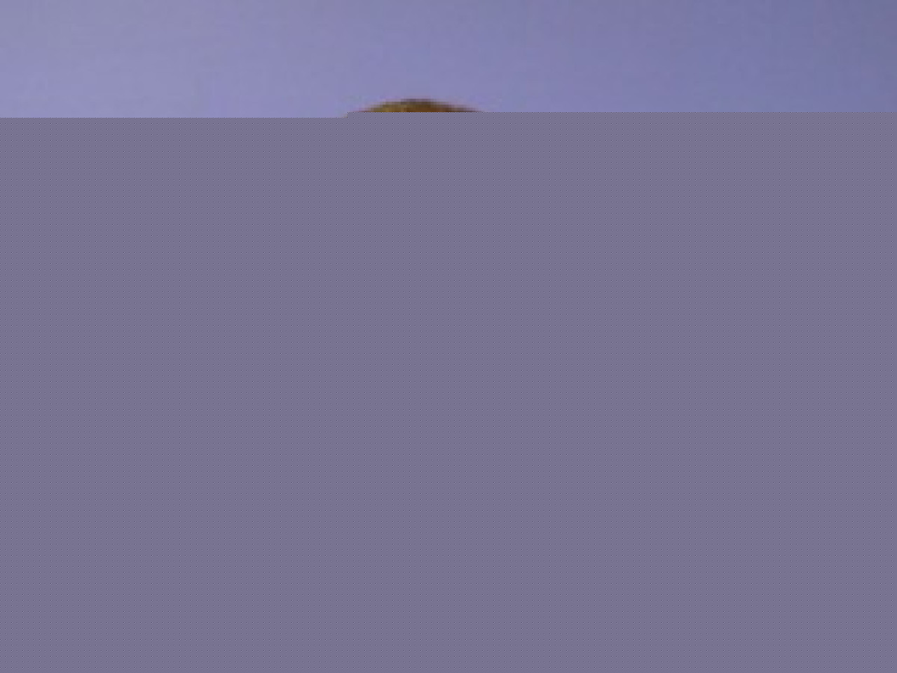 La petite phrase de Jean-Michel Aulas La petite phrase de Jean-Michel Aulas