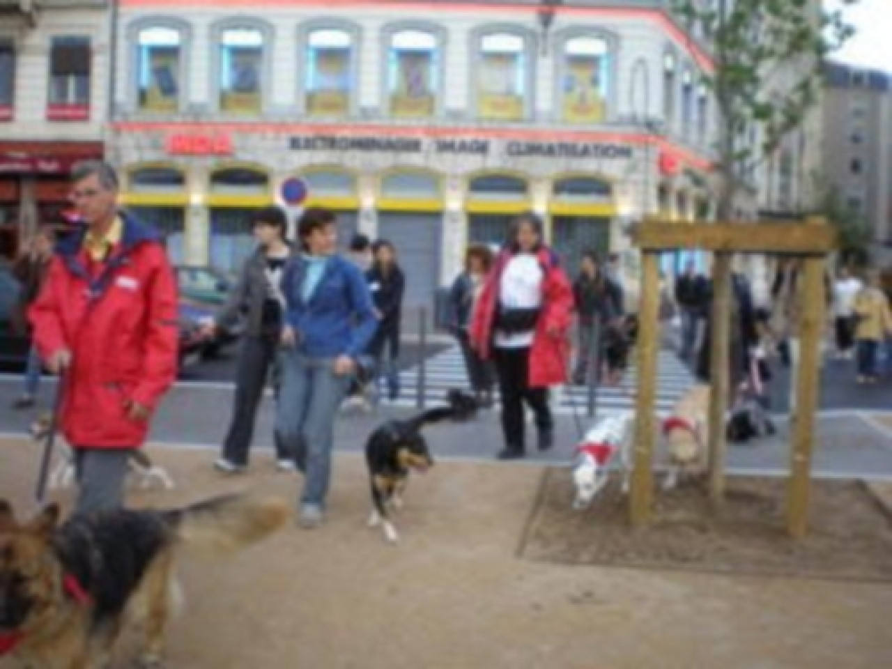 Le Grand Lyon fête mercredi soir sa 600e balade canine urbaine Le Grand Lyon fête mercredi soir sa 600e balade canine urbaine