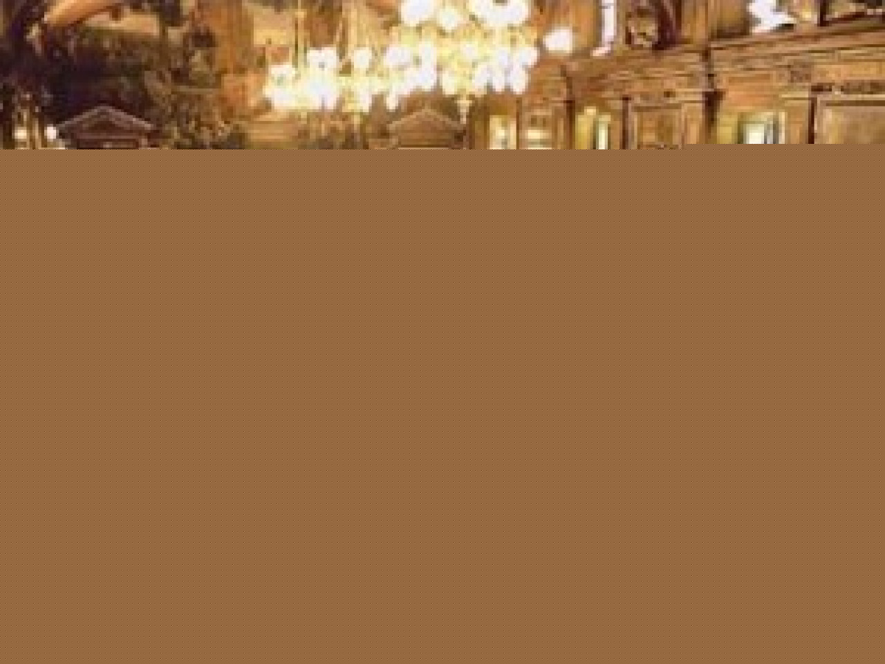 Le bilan 2011 de la Ville de Lyon devrait &ecirc;tre satisfaisant