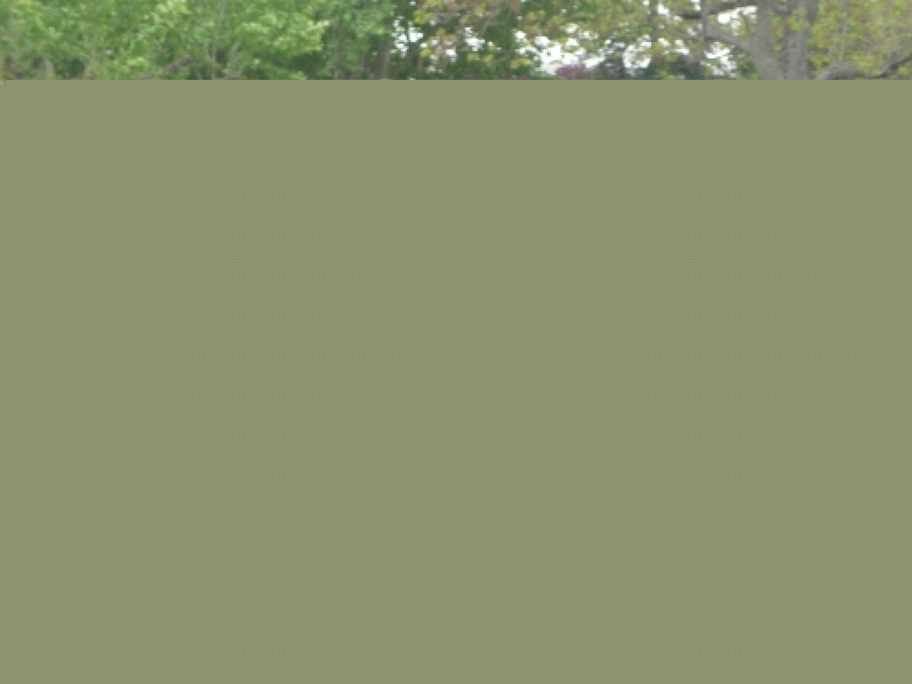 Le cheval dans tous ses états à Eurexpo Le cheval dans tous ses états à Eurexpo