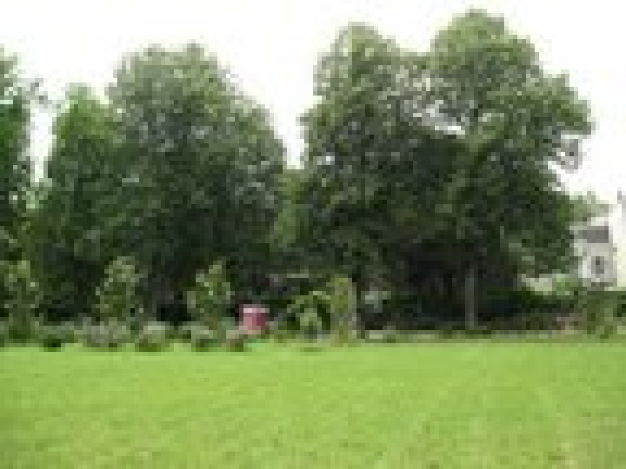 Le parc Miribel-Jonage en travaux Le parc Miribel-Jonage en travaux