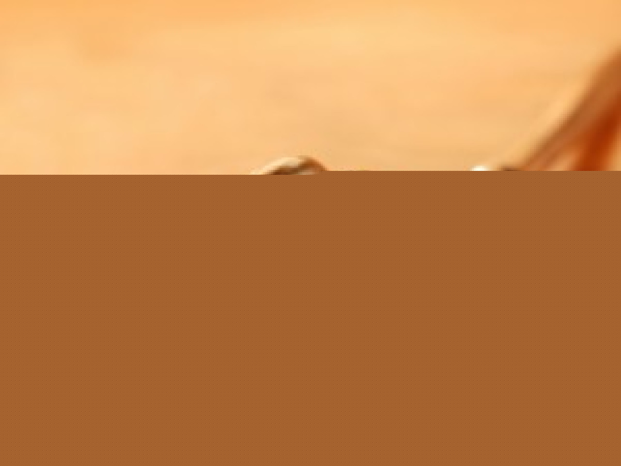 Le racisme dans les stades de foot devant la justice Le racisme dans les stades de foot devant la justice