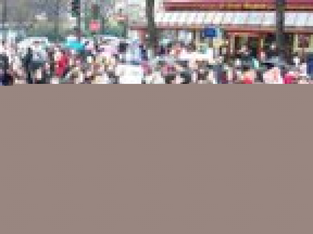 Les abeilles sont en danger