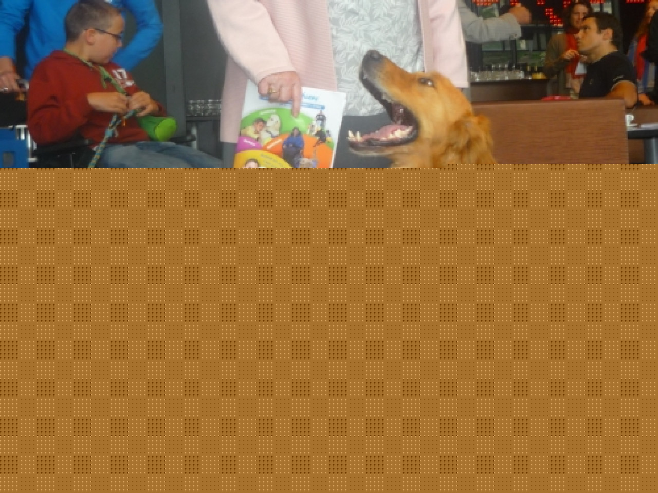 Les chiens guides d'aveugles en d&eacute;monstration place Carnot