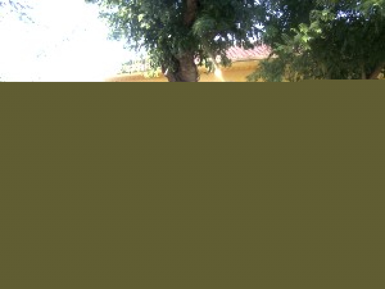 Les gymnases mis en place par la Ville de Lyon pour accueillir les enfants n’ont pas fait le plein Les gymnases mis en place par la Ville de Lyon pour accueillir les enfants n’ont pas fait le plein