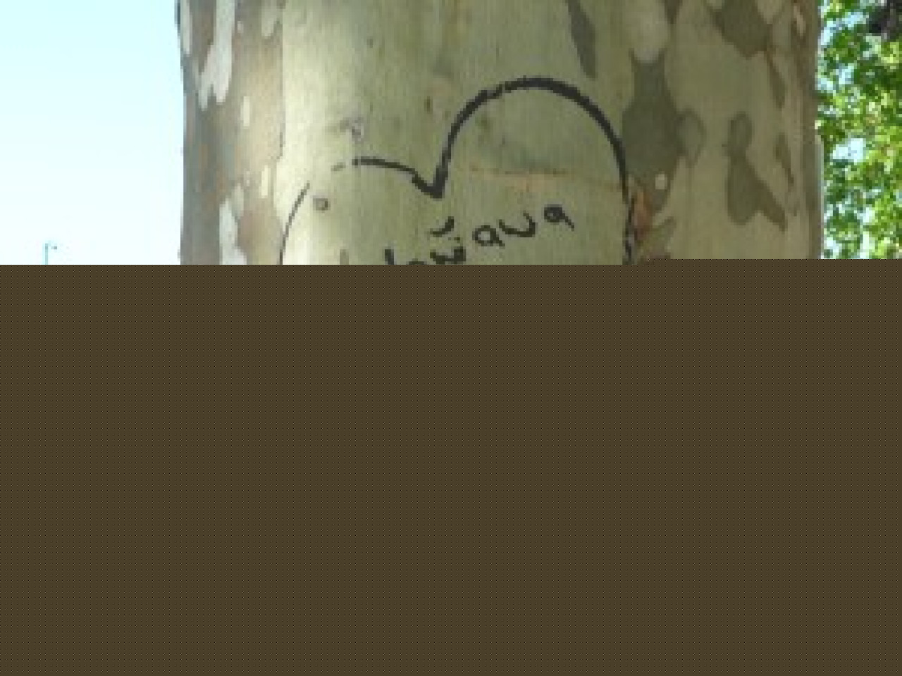 Les lyonnais sont-ils infidèles ? Les lyonnais sont-ils infidèles ?