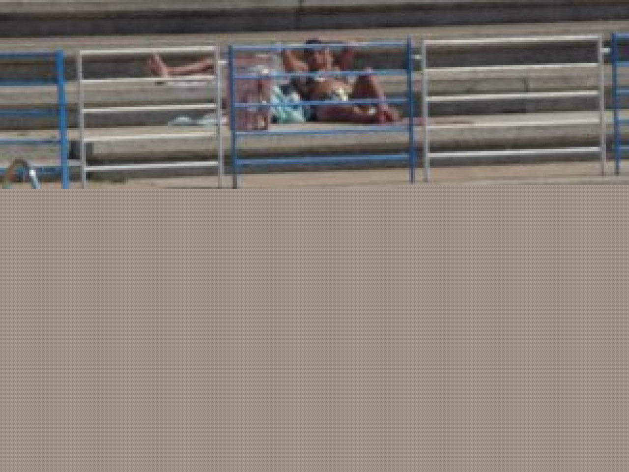 Les piscines de Villeurbanne font le plein Les piscines de Villeurbanne font le plein