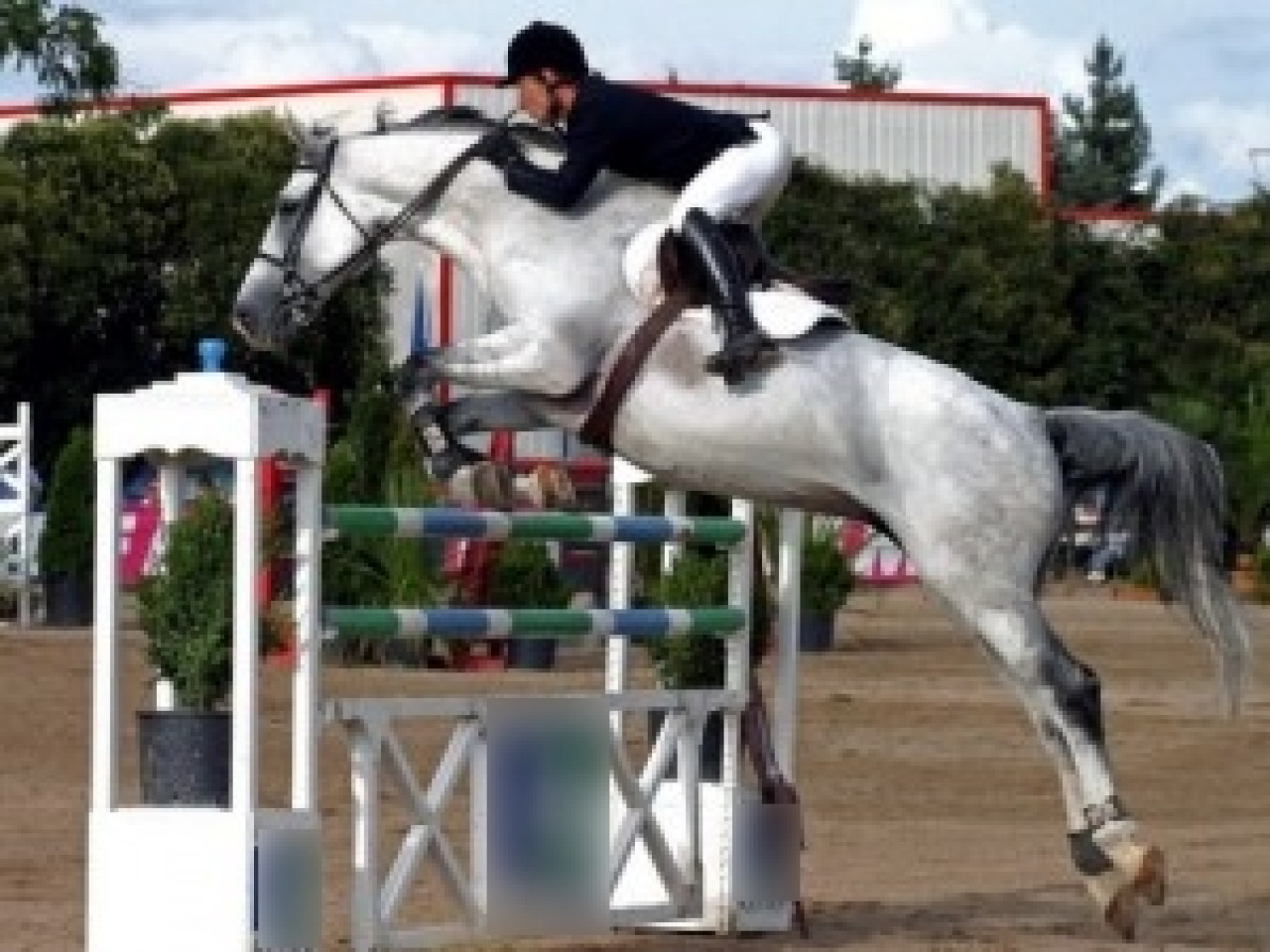 Lyon accueillera des finales mondiales d'équitation Lyon accueillera des finales mondiales d'équitation