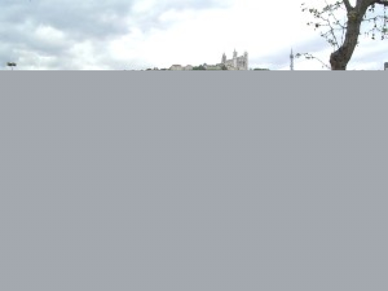 Lyon c&eacute;l&egrave;bre le monde sur la place Bellecour