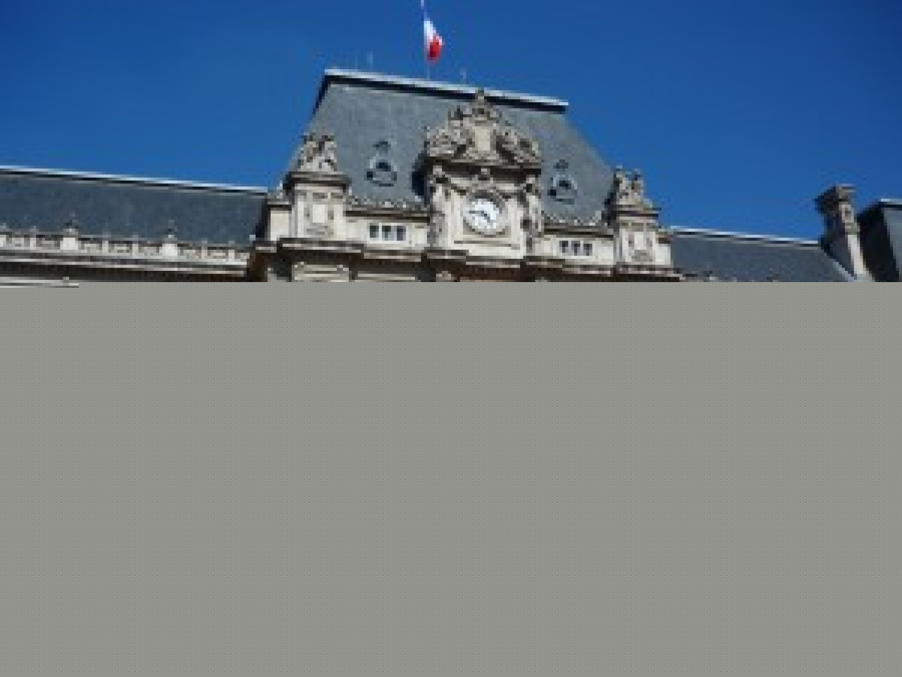 Lyon: manifestation pour l'Algérie et la Tunisie Lyon: manifestation pour l'Algérie et la Tunisie