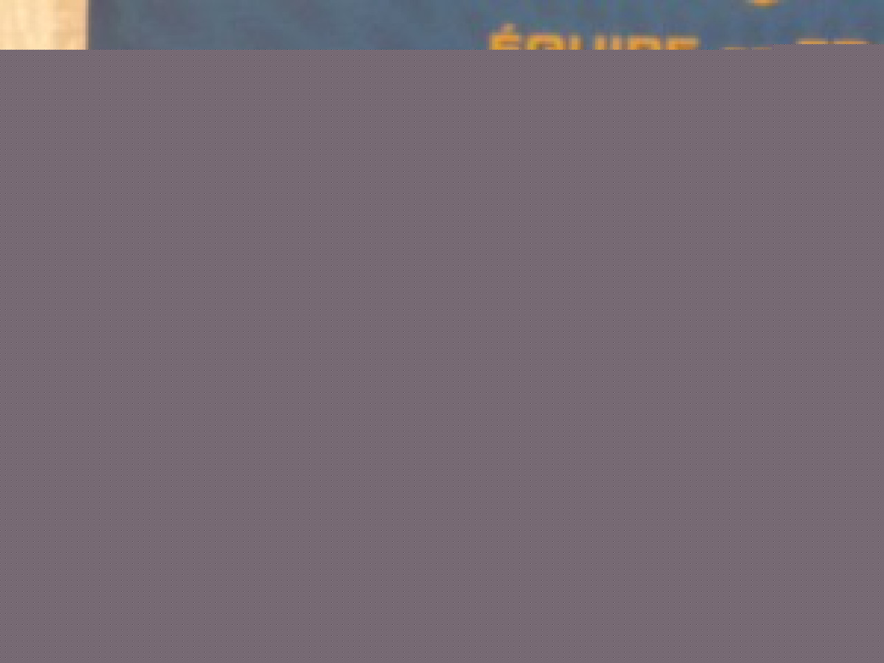 Mondial 2010 : 30 Bleus, 4 Lyonnais et des absents Mondial 2010 : 30 Bleus, 4 Lyonnais et des absents