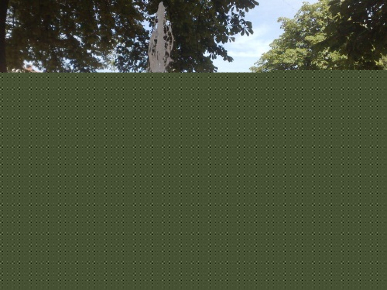 Pluie et fraicheur en juillet, toujours de la pluie mais de la chaleur en aout Pluie et fraicheur en juillet, toujours de la pluie mais de la chaleur en aout