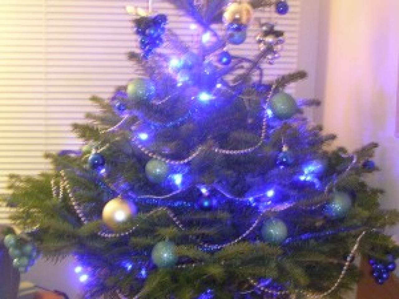 Que faire de son sapin après les fêtes? Que faire de son sapin après les fêtes?