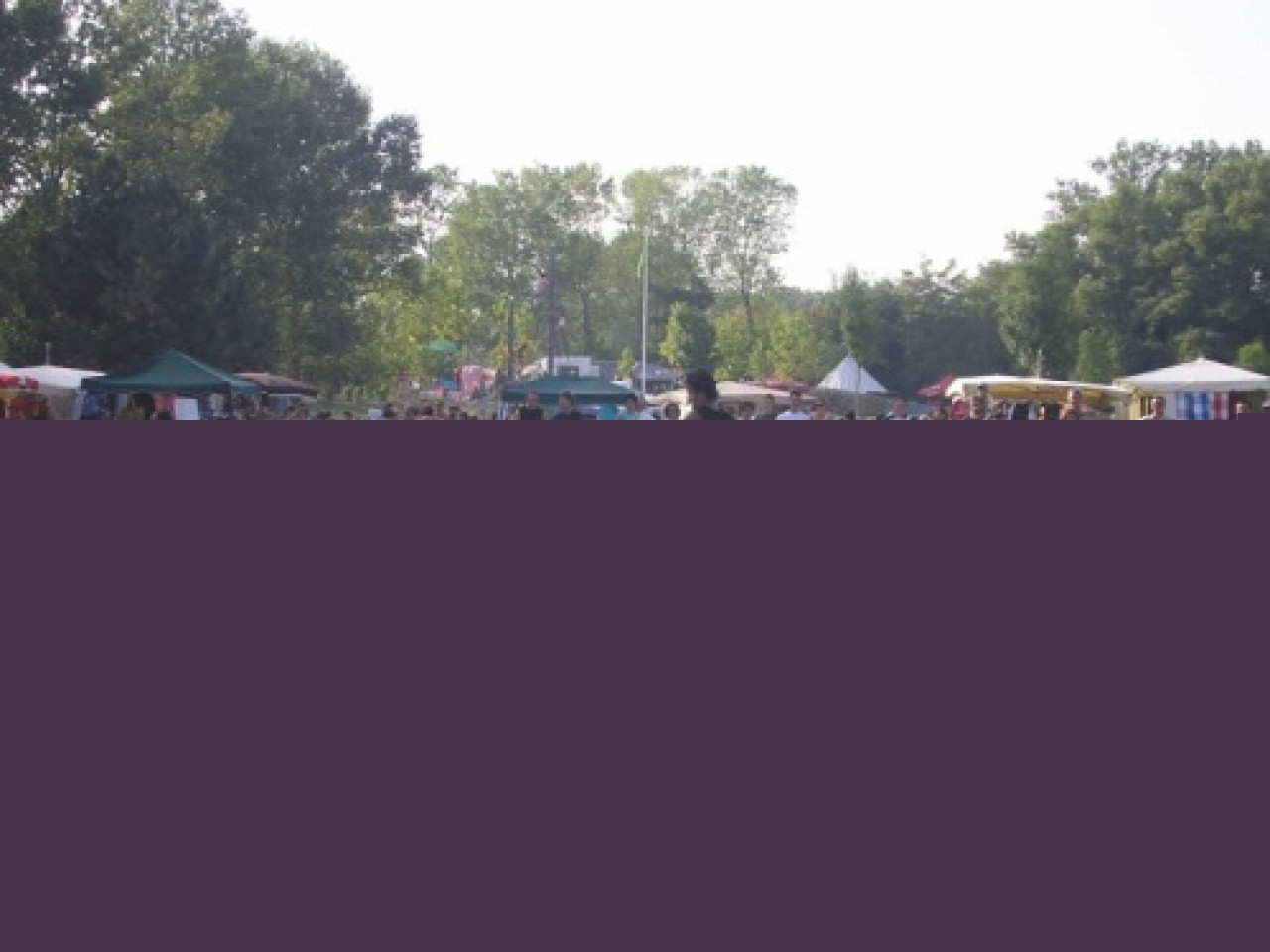 Succès pour le festival Woodstower Succès pour le festival Woodstower