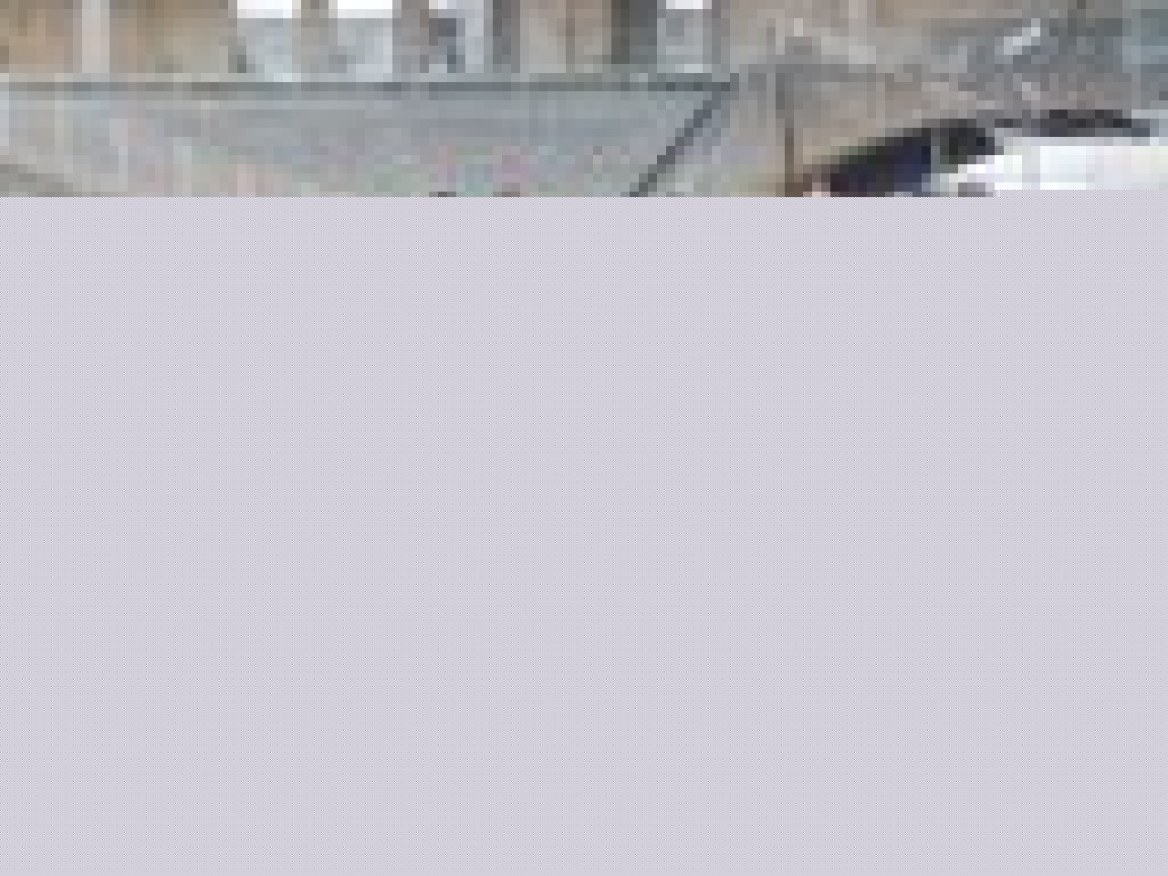 Un deuxième match amical pour l’OL Un deuxième match amical pour l’OL