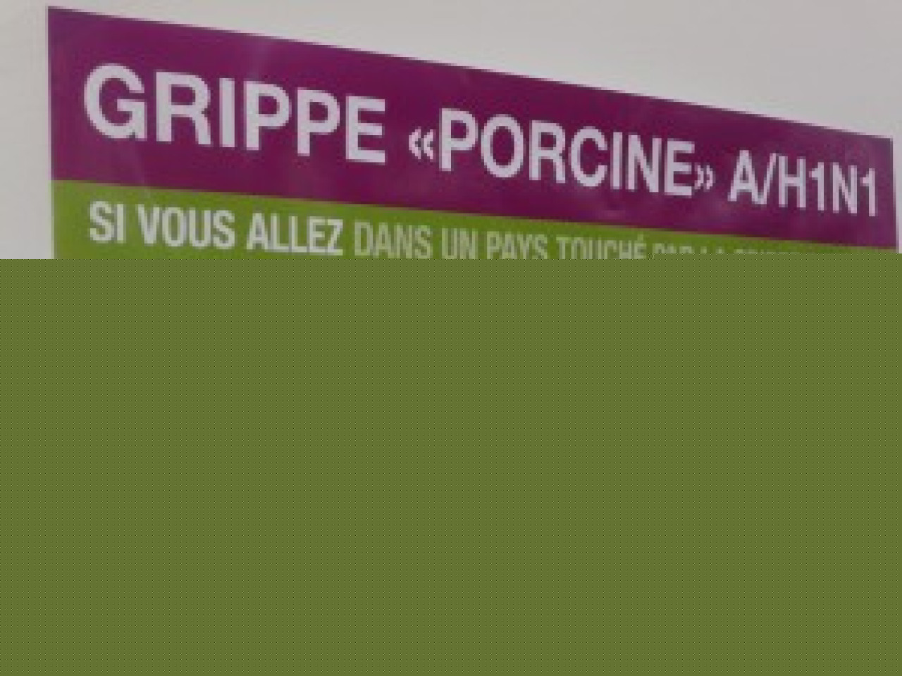 Un jeune de 26 ans est d&eacute;c&eacute;d&eacute; de la grippe A dimanche dans la Loire