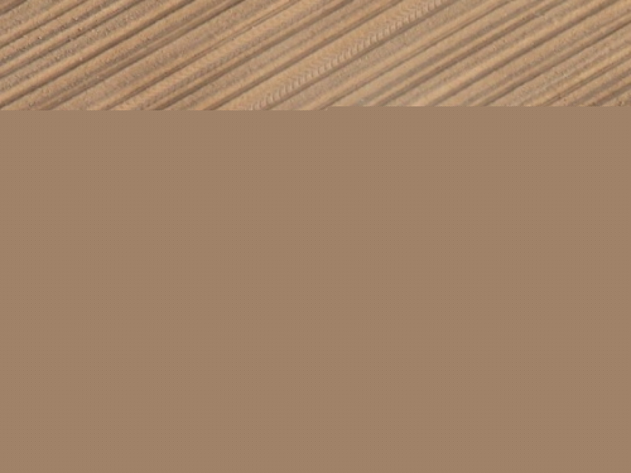 Un million d&rsquo;euros pour les 2000 &eacute;leveurs du Rh&ocirc;ne