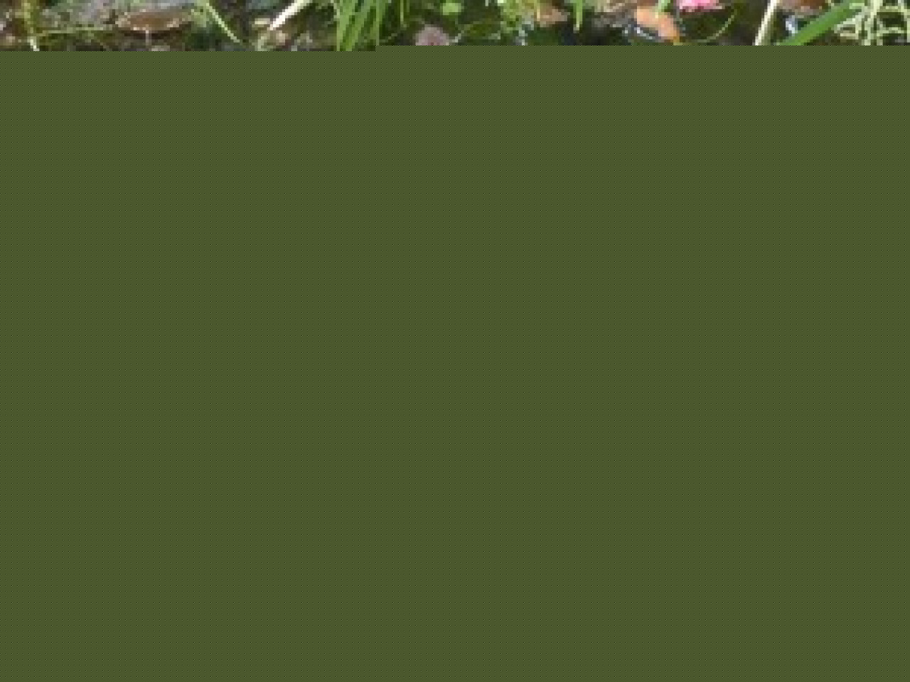 Un parc naturel pour la Dombes Un parc naturel pour la Dombes