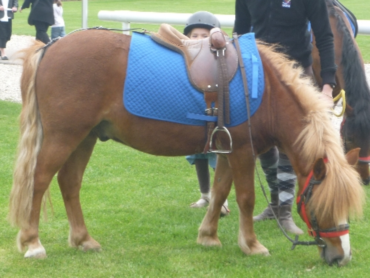 Une dr&ocirc;le de surprise pour un habitant de Dardilly