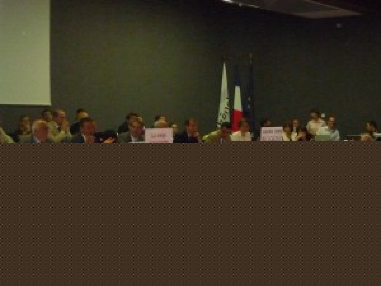 Une enqu&ecirc;te ouverte apr&egrave;s la publication d&rsquo;une photo, pr&eacute;sentant un &eacute;lu FN rh&ocirc;nalpin ex&eacute;cutant le salut nazi