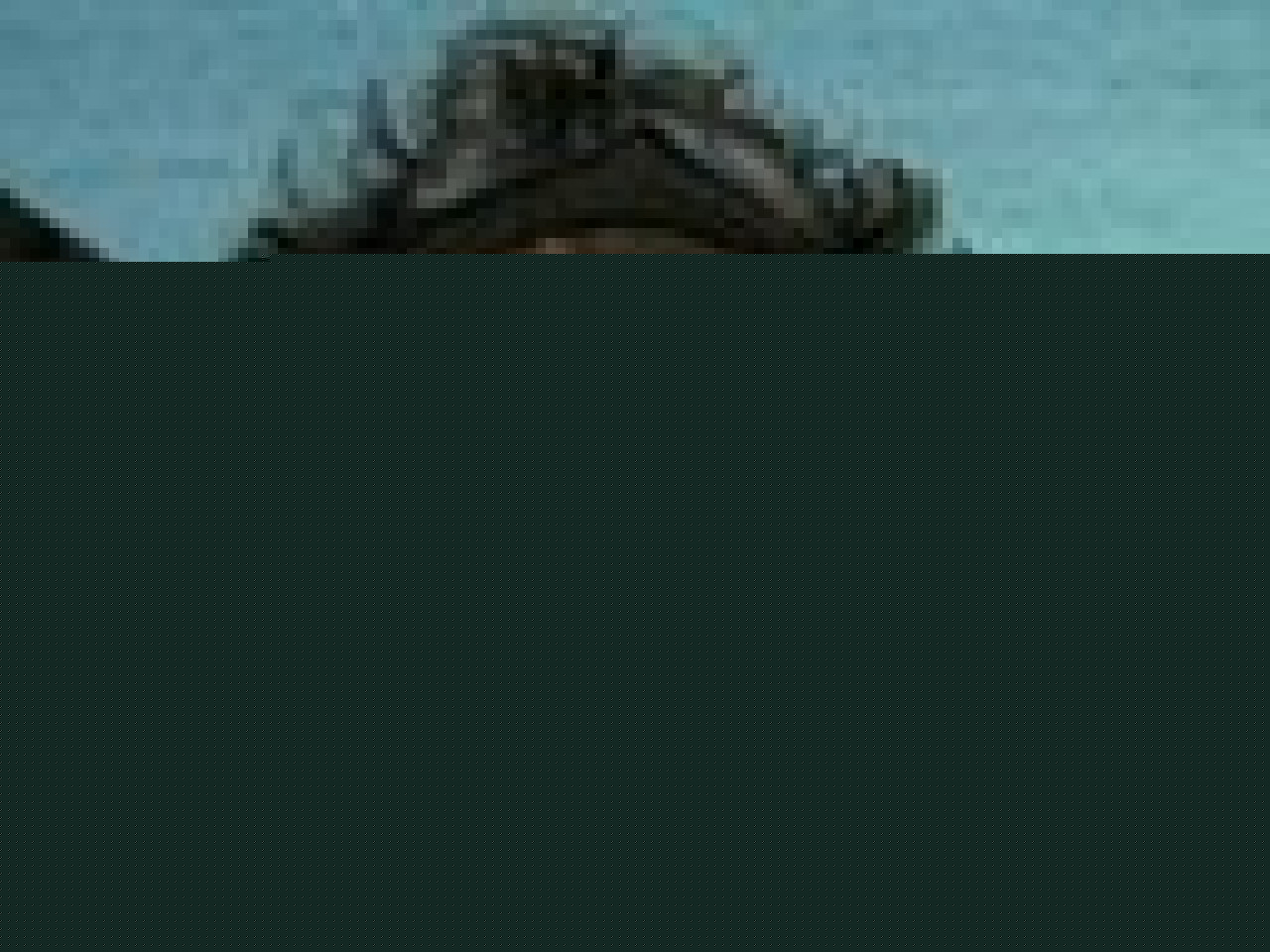 Une nouvelle distinction pour Jonathan Coeffic Une nouvelle distinction pour Jonathan Coeffic