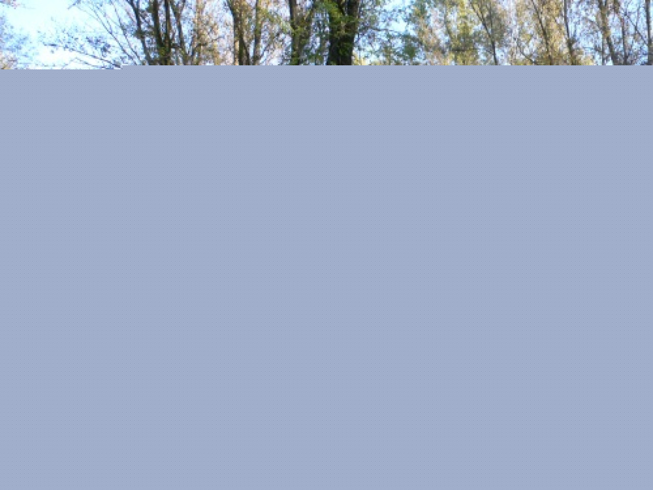 V&eacute;g&eacute;tation en f&ecirc;te au parc de la Feyssine