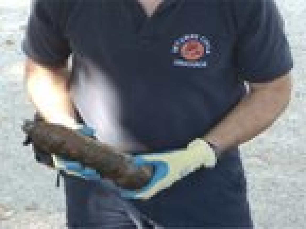 Y a-t-il un lien entre le vol d’explosif à Corbas et la découverte de deux grenades dimanche à Saint-Fons ? Y a-t-il un lien entre le vol d’explosif à Corbas et la découverte de deux grenades dimanche à Saint-Fons ?