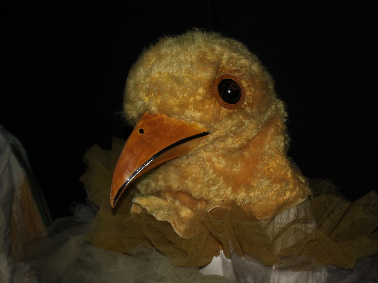 Robes ou costumes de coq : les C&eacute;lestins vendent leurs costumes aux ench&egrave;res