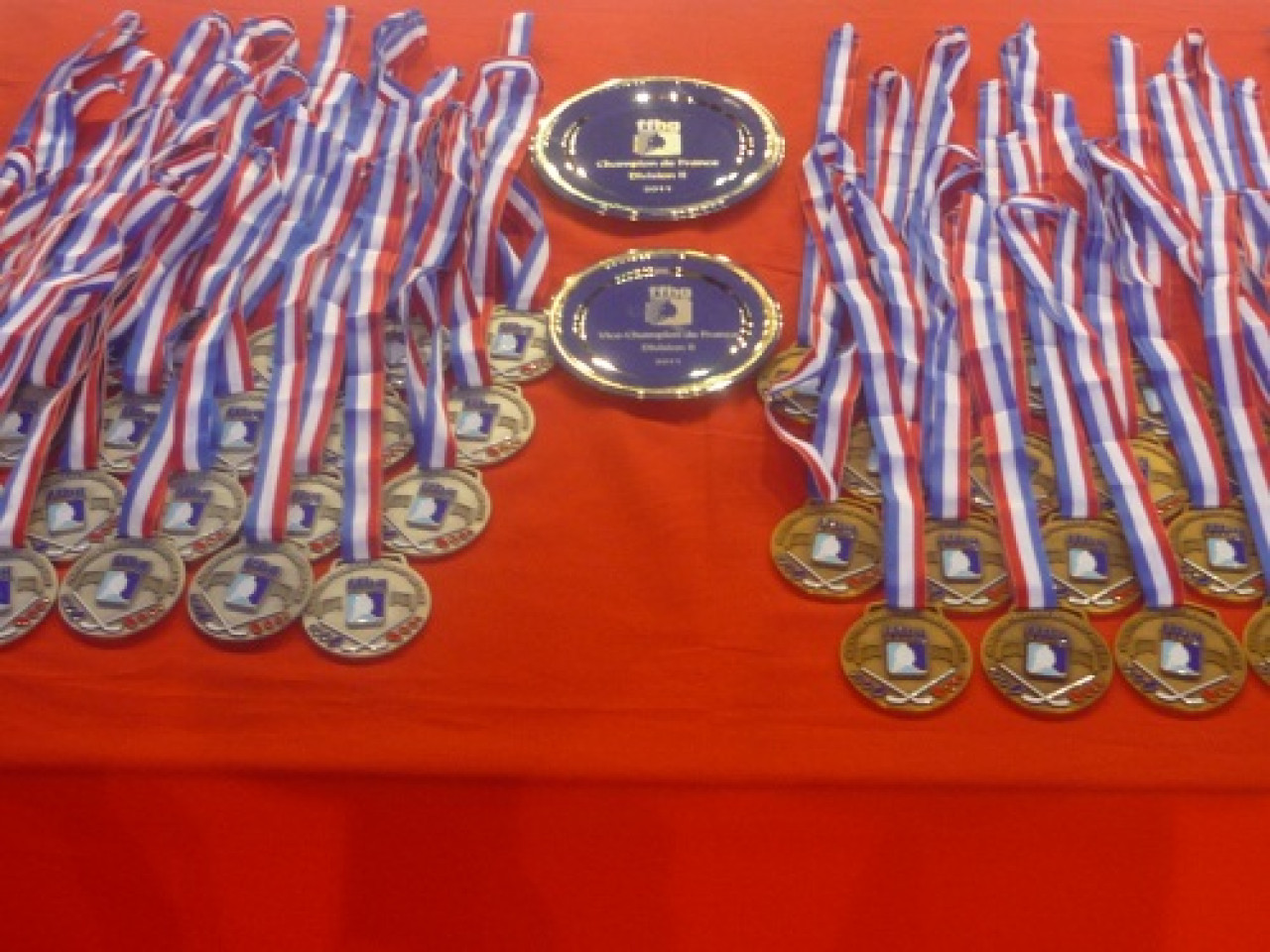 CNRS : 3 médailles d’argent pour des chercheurs lyonnais CNRS : 3 médailles d’argent pour des chercheurs lyonnais