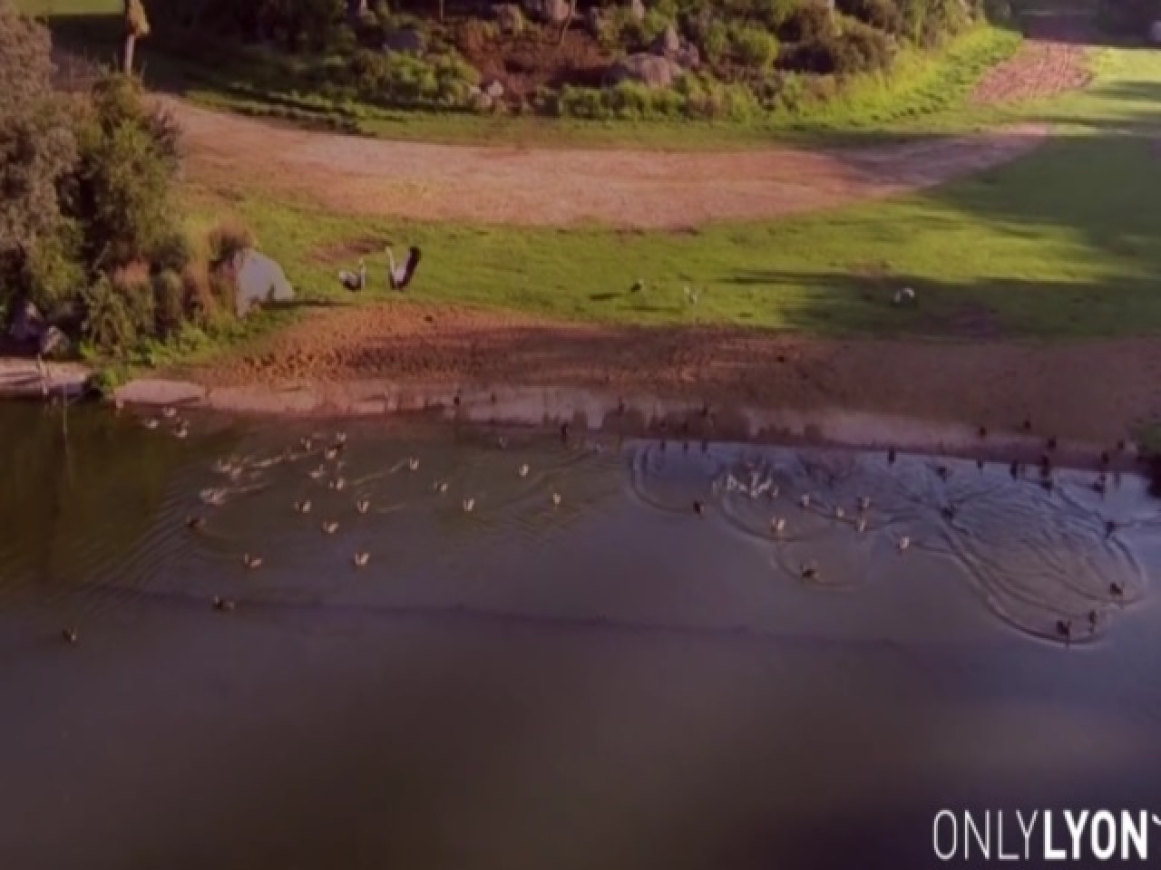 Lyon : une vidéo du parc de la Tête d’Or tournée avec un drone Lyon : une vidéo du parc de la Tête d’Or tournée avec un drone