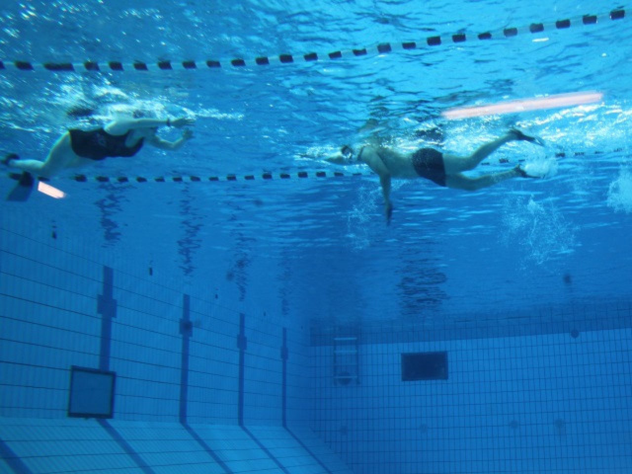 Huit interpellations dans les piscines lyonnaises ce week-end Huit interpellations dans les piscines lyonnaises ce week-end