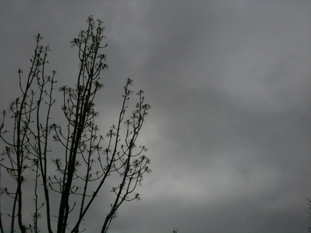 Fin de l’alerte orange pluie-inondation à Lyon Fin de l’alerte orange pluie-inondation à Lyon