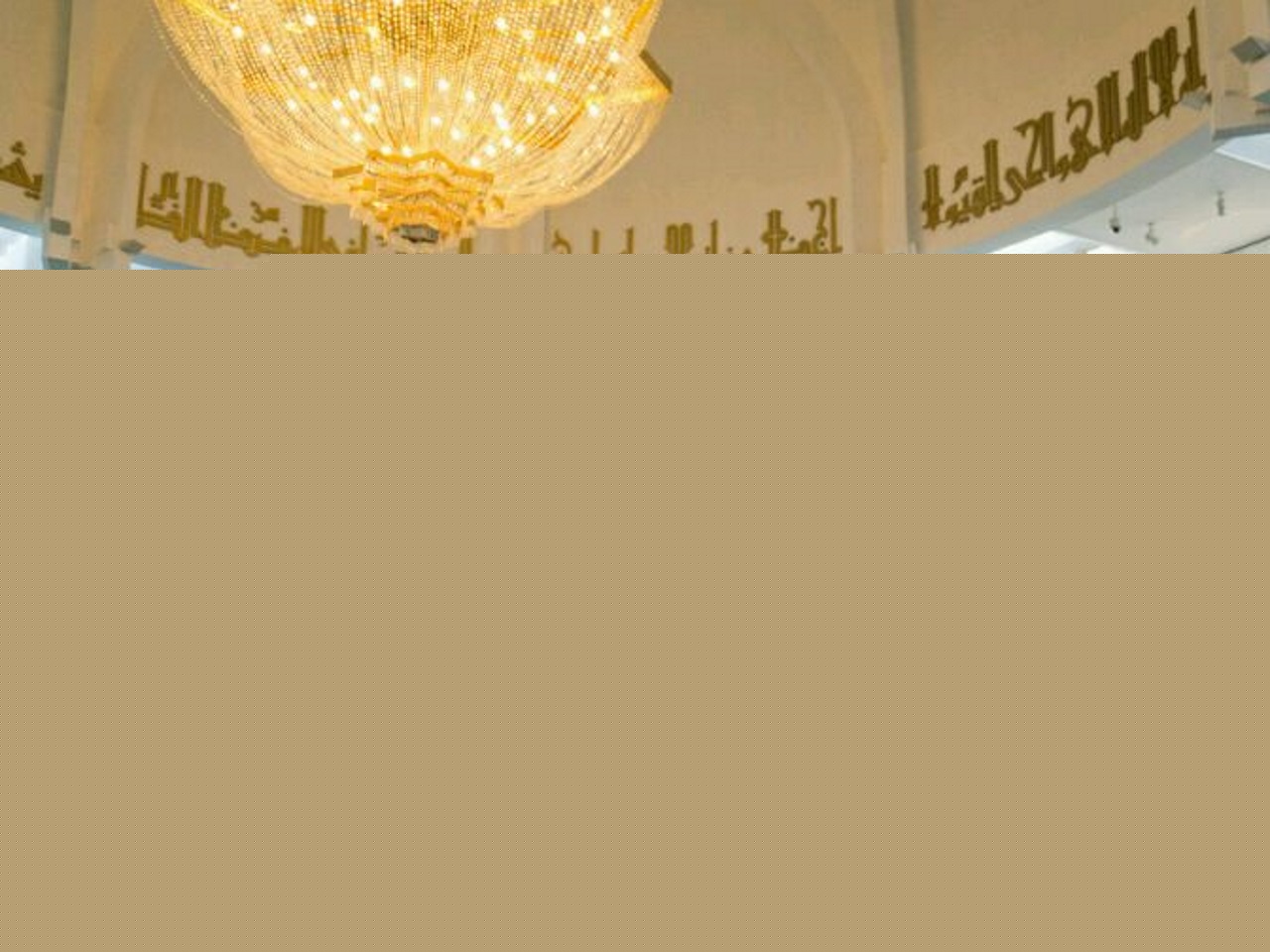 Des dizaines de musulmans à la prière pour la France à la Grande Mosquée de Lyon Des dizaines de musulmans à la prière pour la France à la Grande Mosquée de Lyon