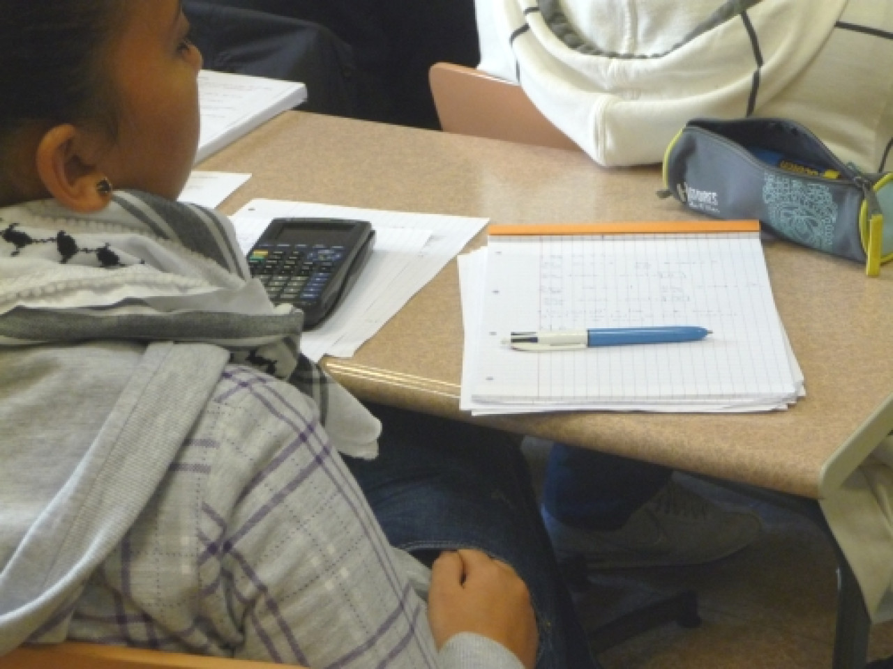 Portiques dans les lycées : la FCPE du Rhône craint un futur "climat policier" Portiques dans les lycées : la FCPE du Rhône craint un futur "climat policier"