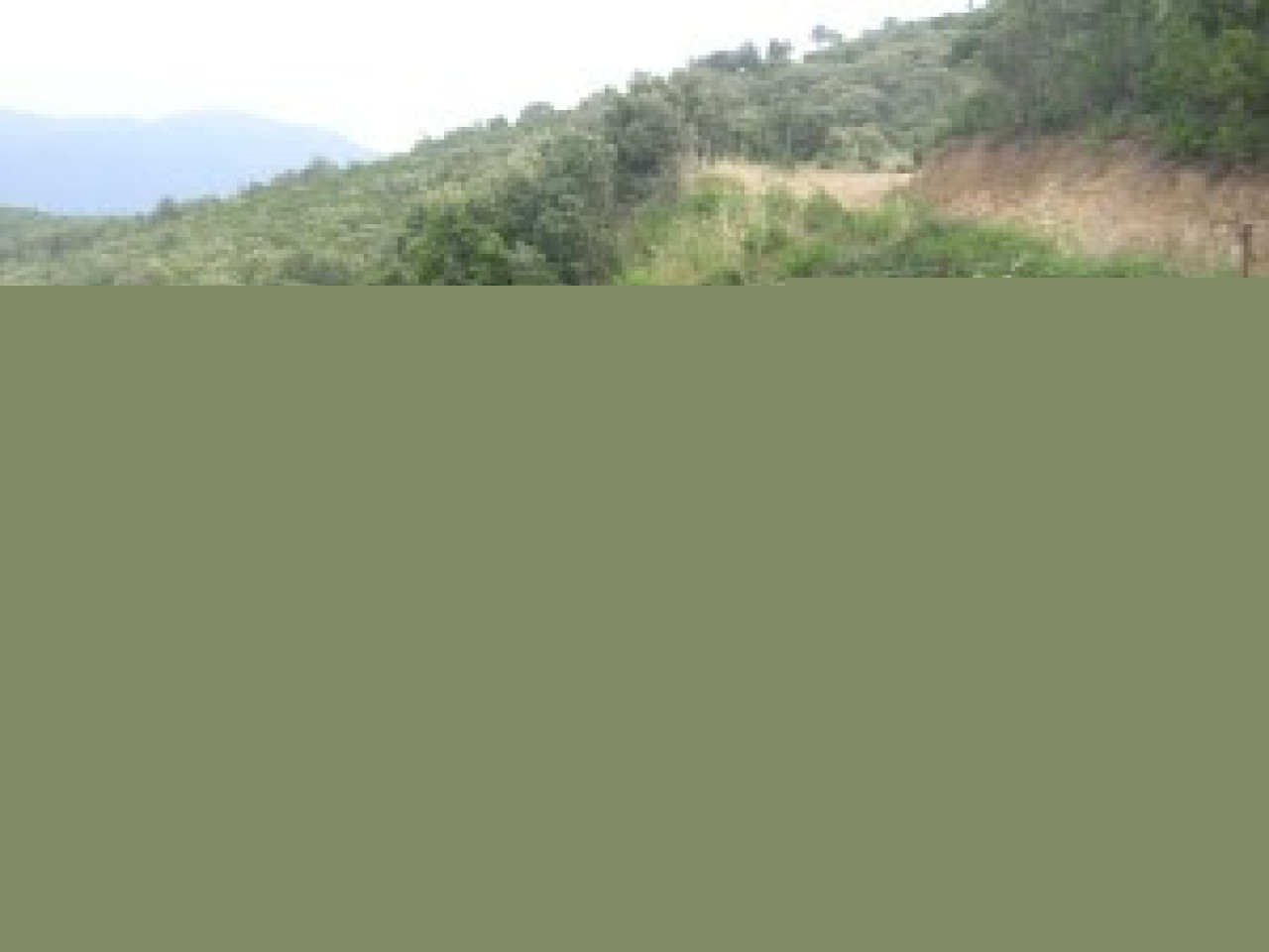 Lyon : un happening contre les abattoirs ce samedi Lyon : un happening contre les abattoirs ce samedi