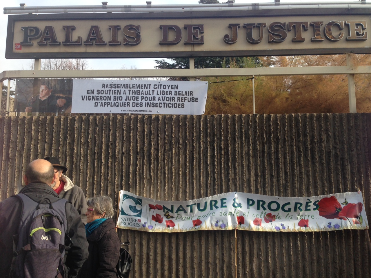 Rhône : le vigneron qui avait refusé de traiter ses vignes a été relaxé Rhône : le vigneron qui avait refusé de traiter ses vignes a été relaxé