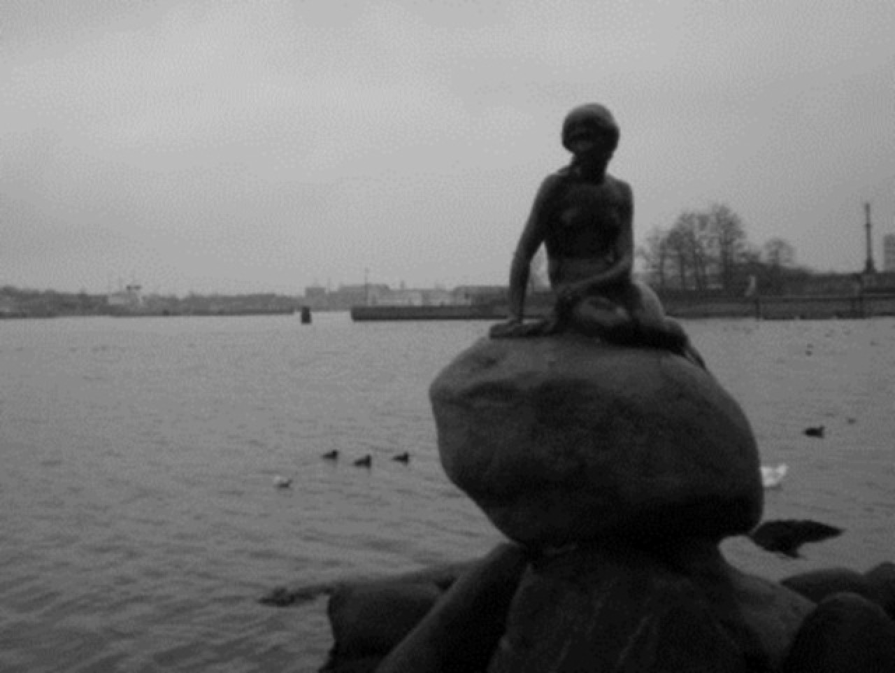 SAS renforce ses vols Lyon - Copenhague