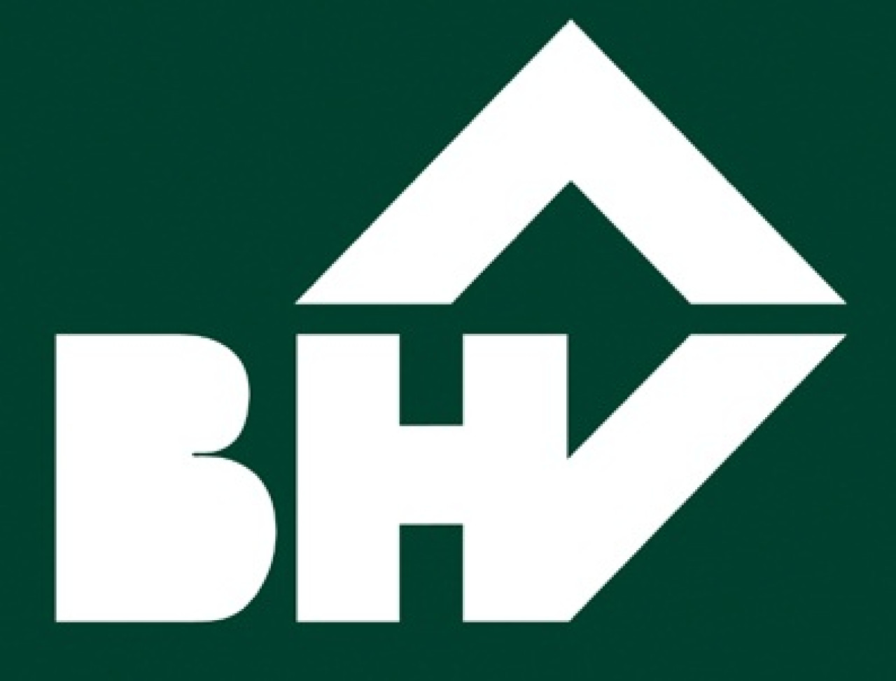 Les 60 salari&eacute;s du BHV de St Genis Laval risquent de perdre leur emploi