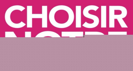 Européennes : les militants socialistes se mobilisent à Lyon ce week-end Européennes : les militants socialistes se mobilisent à Lyon ce week-end