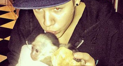 Justin Bieber doit récupérer son singe Mally et payer une amende ! Justin Bieber doit récupérer son singe Mally et payer une amende !