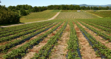 Les fermes &agrave; l&rsquo;honneur ce week-end dans le Rh&ocirc;ne