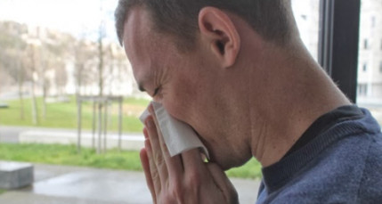 Plusieurs alertes polliniques dans le Rhône Plusieurs alertes polliniques dans le Rhône