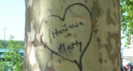 La Ville renouvelle son opération St Valentin La Ville renouvelle son opération St Valentin