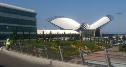 Lyon-Saint-Exup&eacute;ry : elle transportait dans ses bagages plus de 20 kg de viande d&rsquo;antilope et de singe