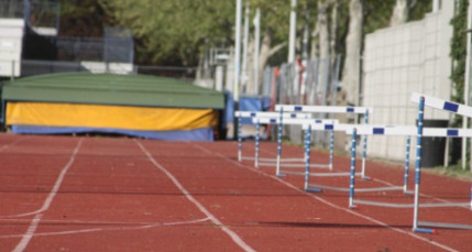 Deux Français médaillés aux Mondiaux handisports de Lyon Deux Français médaillés aux Mondiaux handisports de Lyon