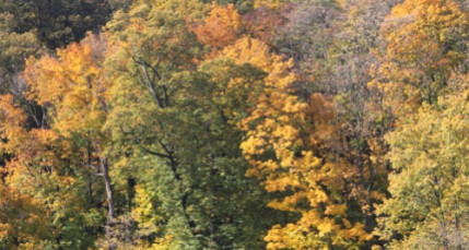 Une balade insolite dans le quartier de la Soie à Villeurbanne/Vaulx-en-Velin Une balade insolite dans le quartier de la Soie à Villeurbanne/Vaulx-en-Velin