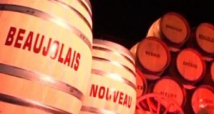 Plus que quelques heures avant de goûter le Beaujolais Nouveau cru 2013 Plus que quelques heures avant de goûter le Beaujolais Nouveau cru 2013