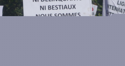 Saint-Fons : les classes de Roms à part ne sont "pas acceptables"