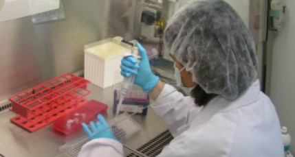 bioMérieux s’offre un rival et s’étend aux États-Unis bioMérieux s’offre un rival et s’étend aux États-Unis